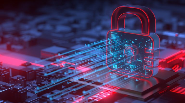 protection des données personnelles et vie privée